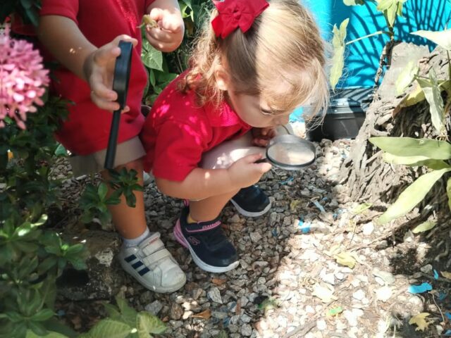 http://teachermanuela.kinsta.cloud/wp-content/uploads/2023/06/Photo-04-25-23-1-13-32-PM-7-640x480.jpg